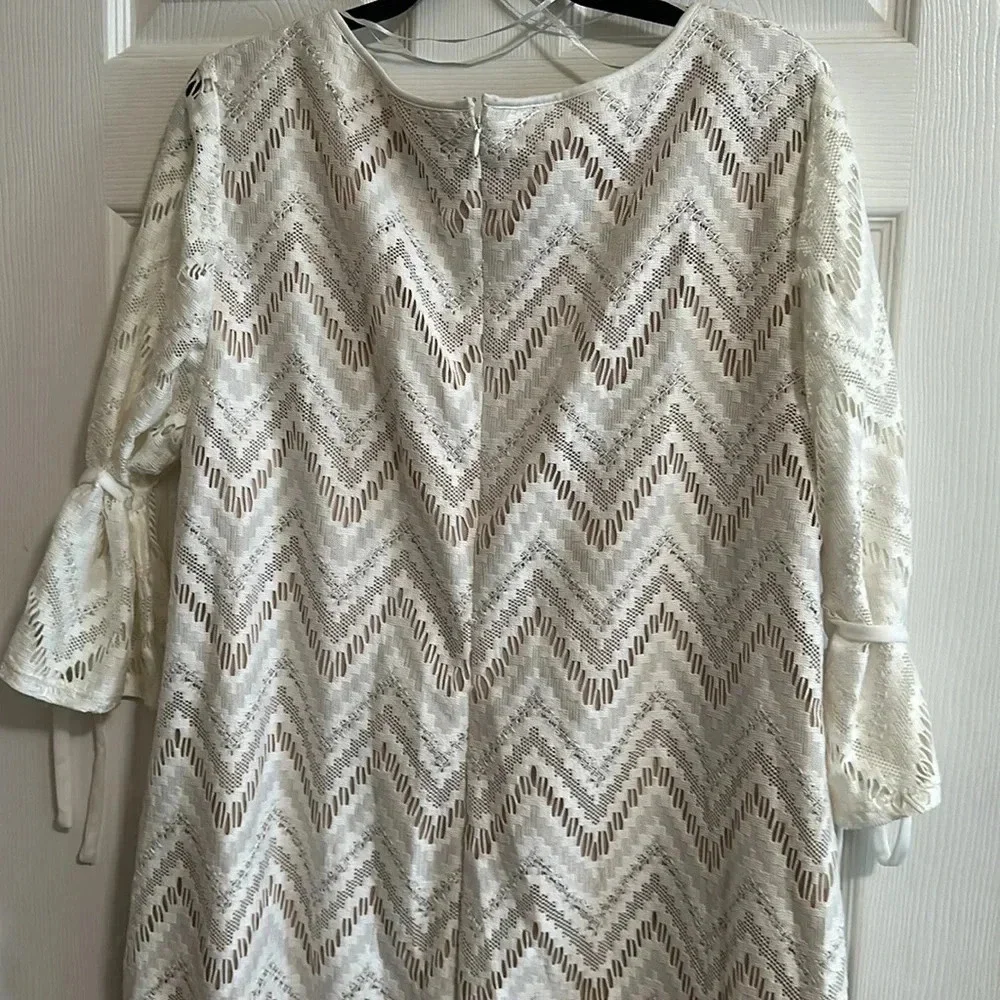 R&K Plus Size 18W Cream Lace Beige Lined Dress Women Stylish Cut EUC - Picture 5 of 5